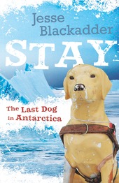 final high res cover Stay The last dog in Antartica