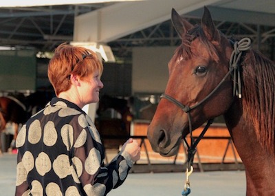 Jesse and horse